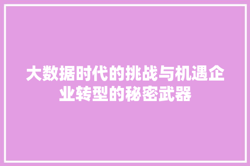 大数据时代的挑战与机遇企业转型的秘密武器 大数据时代的挑战与机遇企业转型的秘密武器