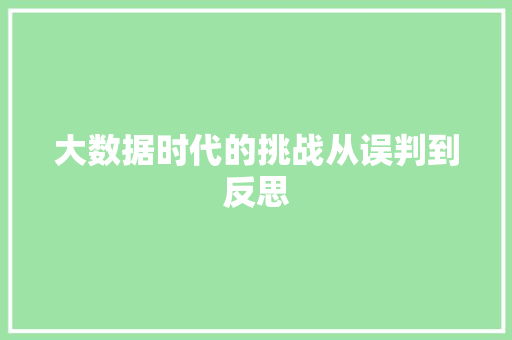 大数据时代的挑战从误判到反思