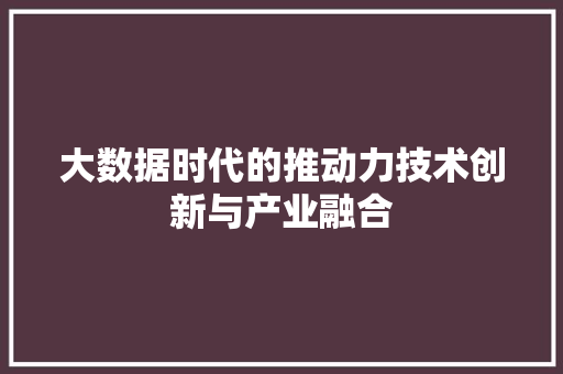 大数据时代的推动力技术创新与产业融合