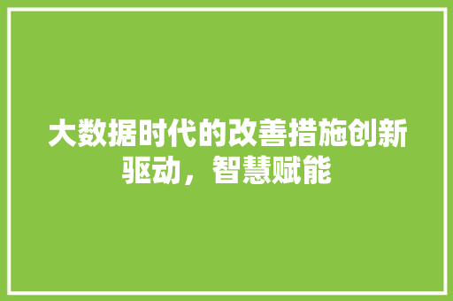 大数据时代的改善措施创新驱动，智慧赋能