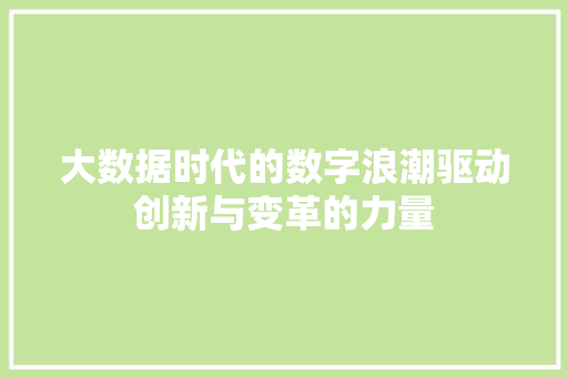 大数据时代的数字浪潮驱动创新与变革的力量