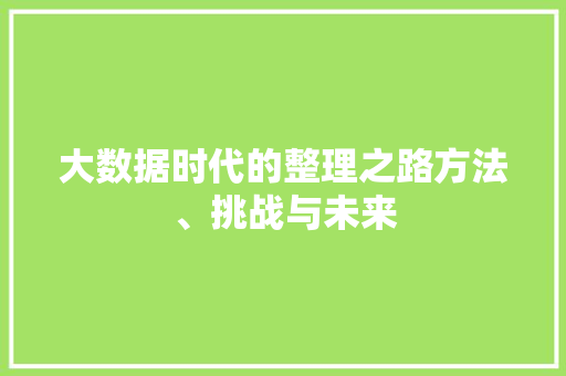 大数据时代的整理之路方法、挑战与未来