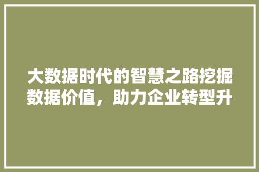 大数据时代的智慧之路挖掘数据价值，助力企业转型升级