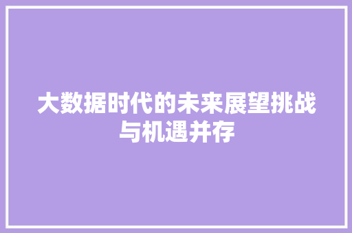大数据时代的未来展望挑战与机遇并存