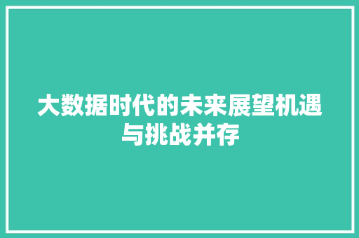 大数据时代的未来展望机遇与挑战并存
