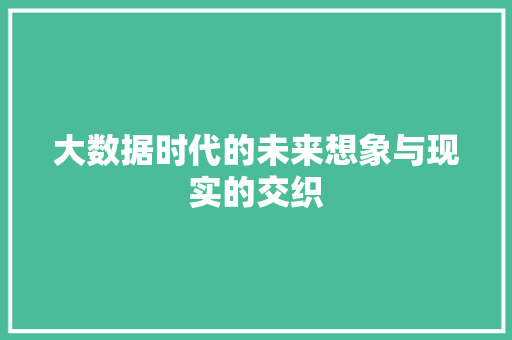 大数据时代的未来想象与现实的交织