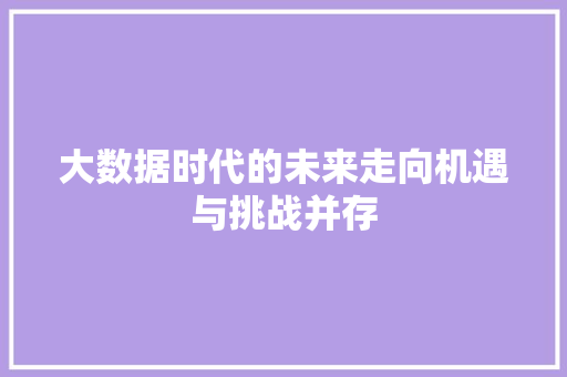 大数据时代的未来走向机遇与挑战并存