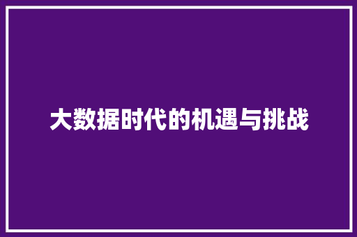 大数据时代的机遇与挑战