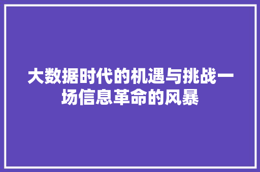 大数据时代的机遇与挑战一场信息革命的风暴