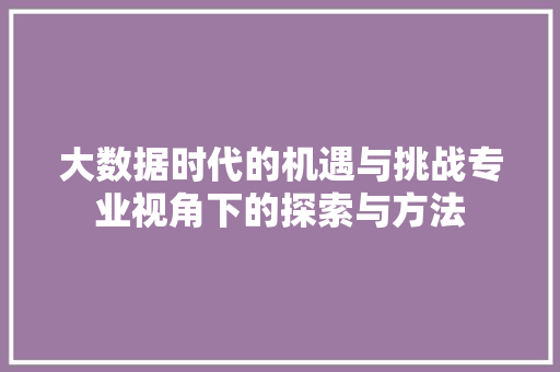 大数据时代的机遇与挑战专业视角下的探索与方法