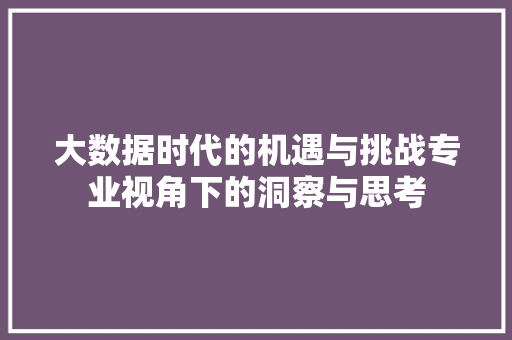 大数据时代的机遇与挑战专业视角下的洞察与思考