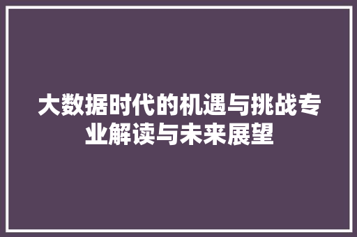 大数据时代的机遇与挑战专业解读与未来展望