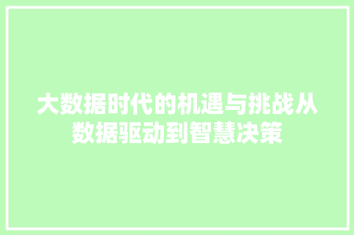 大数据时代的机遇与挑战从数据驱动到智慧决策