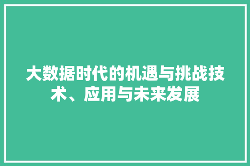 大数据时代的机遇与挑战技术、应用与未来发展