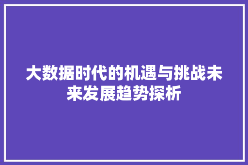 大数据时代的机遇与挑战未来发展趋势探析