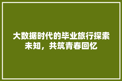 大数据时代的毕业旅行探索未知，共筑青春回忆 编程语言