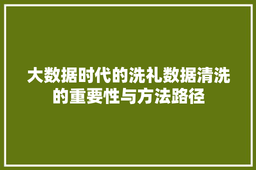 大数据时代的洗礼数据清洗的重要性与方法路径