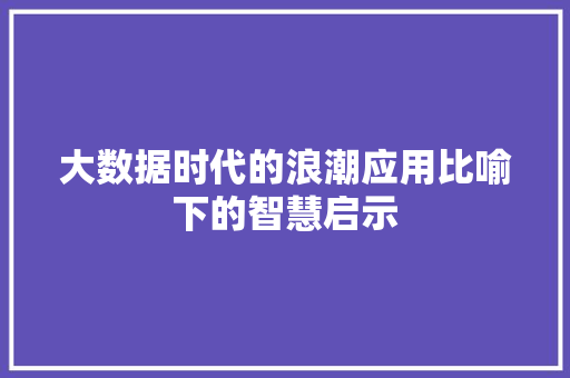 大数据时代的浪潮应用比喻下的智慧启示 电脑配置
