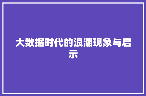 大数据时代的浪潮现象与启示