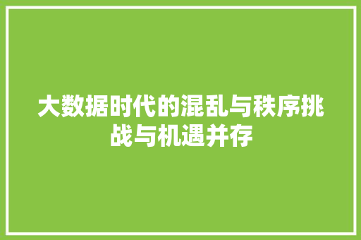 大数据时代的混乱与秩序挑战与机遇并存