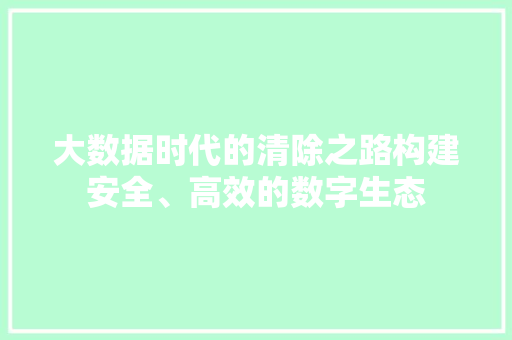 大数据时代的清除之路构建安全、高效的数字生态