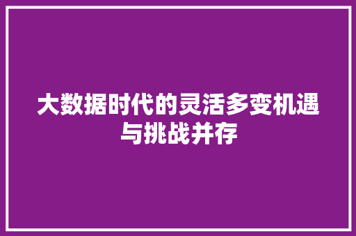大数据时代的灵活多变机遇与挑战并存