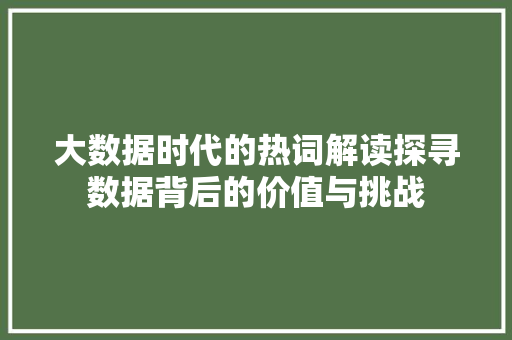 大数据时代的热词解读探寻数据背后的价值与挑战