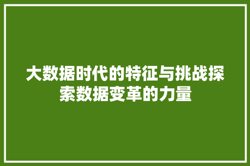 大数据时代的特征与挑战探索数据变革的力量