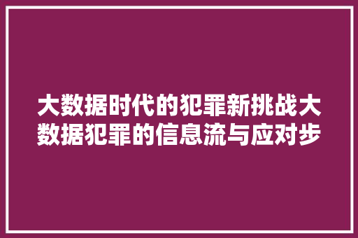 大数据时代的犯罪新挑战大数据犯罪的信息流与应对步骤