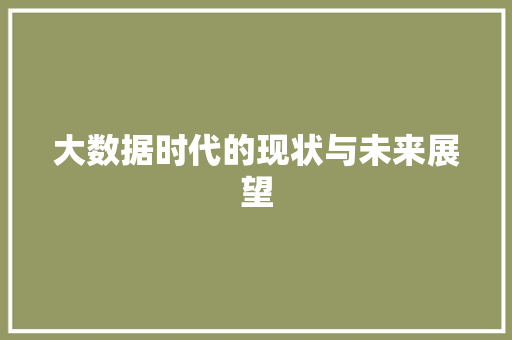 大数据时代的现状与未来展望