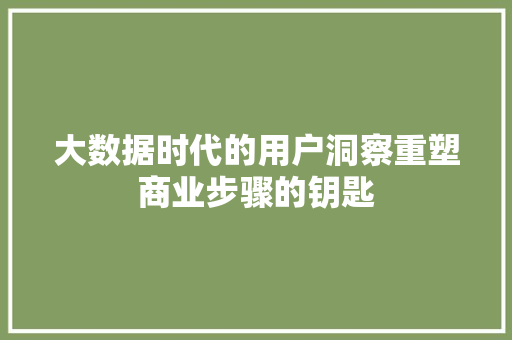 大数据时代的用户洞察重塑商业步骤的钥匙