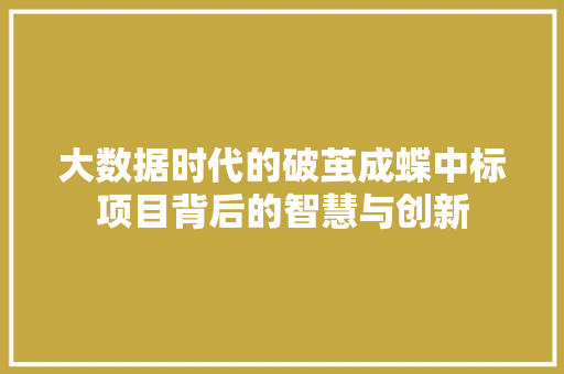 大数据时代的破茧成蝶中标项目背后的智慧与创新 电脑故障维修