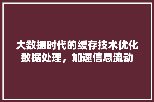 大数据时代的缓存技术优化数据处理，加速信息流动