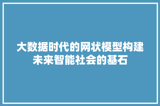 大数据时代的网状模型构建未来智能社会的基石
