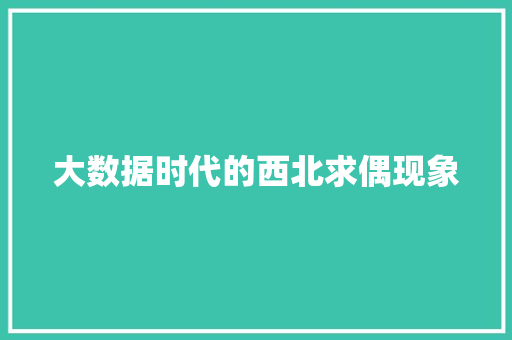 大数据时代的西北求偶现象