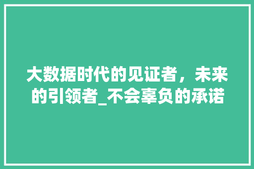 大数据时代的见证者，未来的引领者_不会辜负的承诺