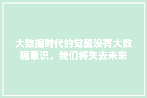 大数据时代的觉醒没有大数据意识，我们将失去未来