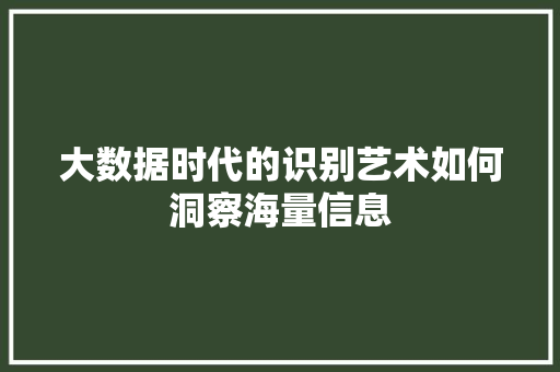 大数据时代的识别艺术如何洞察海量信息
