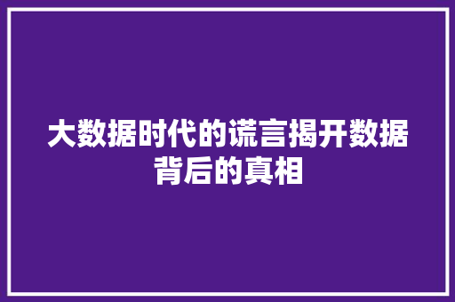 大数据时代的谎言揭开数据背后的真相 电脑配置