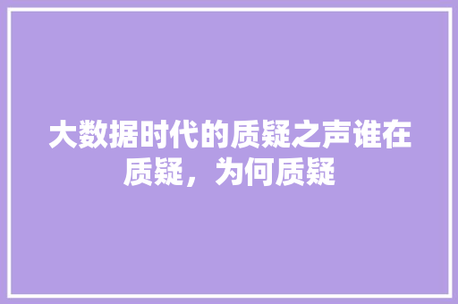 大数据时代的质疑之声谁在质疑，为何质疑