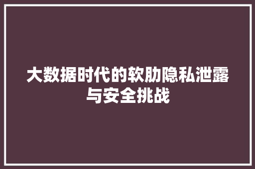 大数据时代的软肋隐私泄露与安全挑战