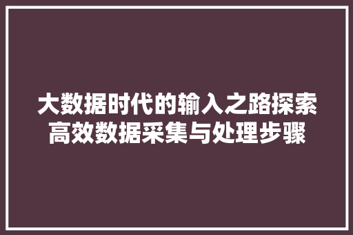 大数据时代的输入之路探索高效数据采集与处理步骤