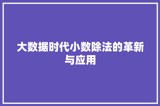 大数据时代小数除法的革新与应用