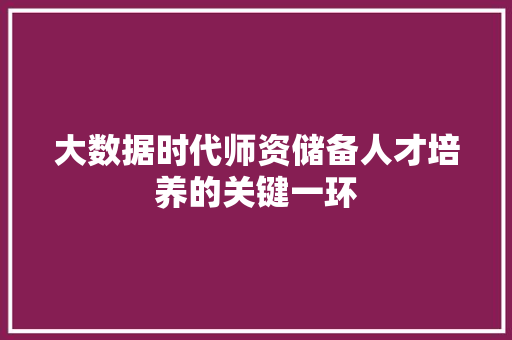 大数据时代师资储备人才培养的关键一环
