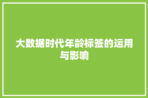 大数据时代年龄标签的运用与影响 操作系统