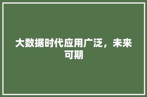 大数据时代应用广泛，未来可期 编程语言