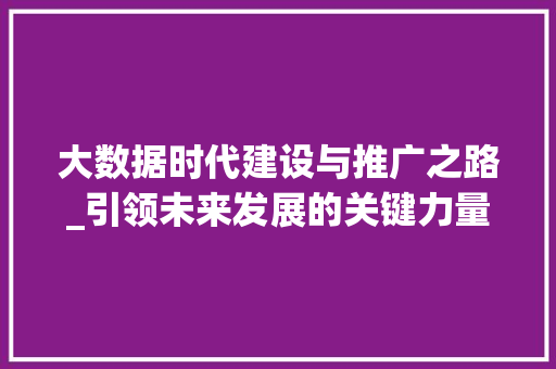 大数据时代建设与推广之路_引领未来发展的关键力量