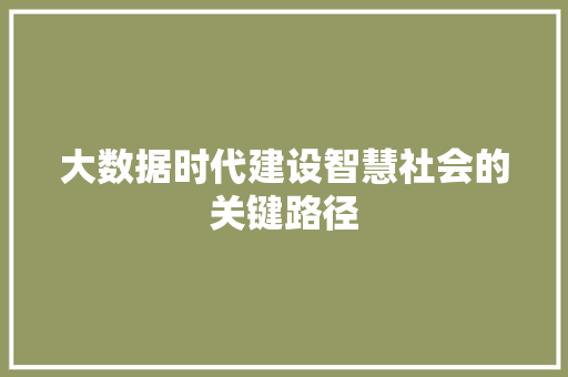大数据时代建设智慧社会的关键路径