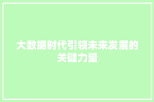 大数据时代引领未来发展的关键力量