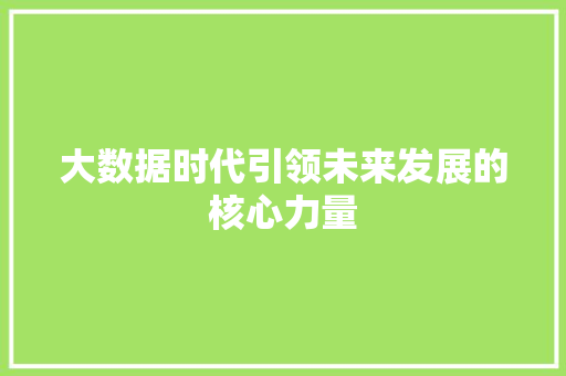大数据时代引领未来发展的核心力量